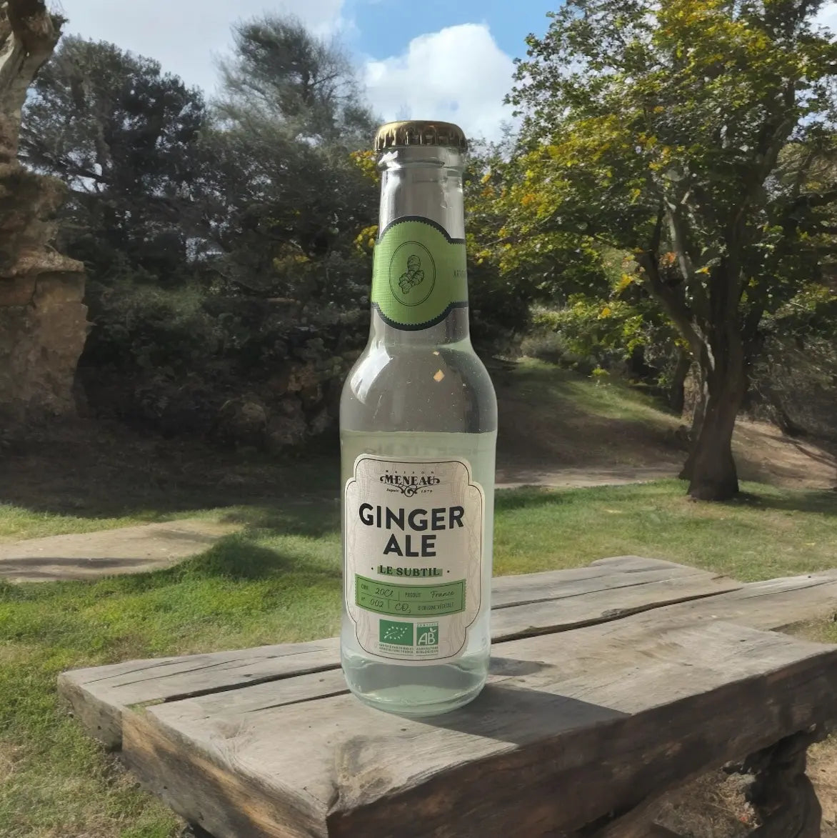 Genger Ale vendu par Jm Monterroir