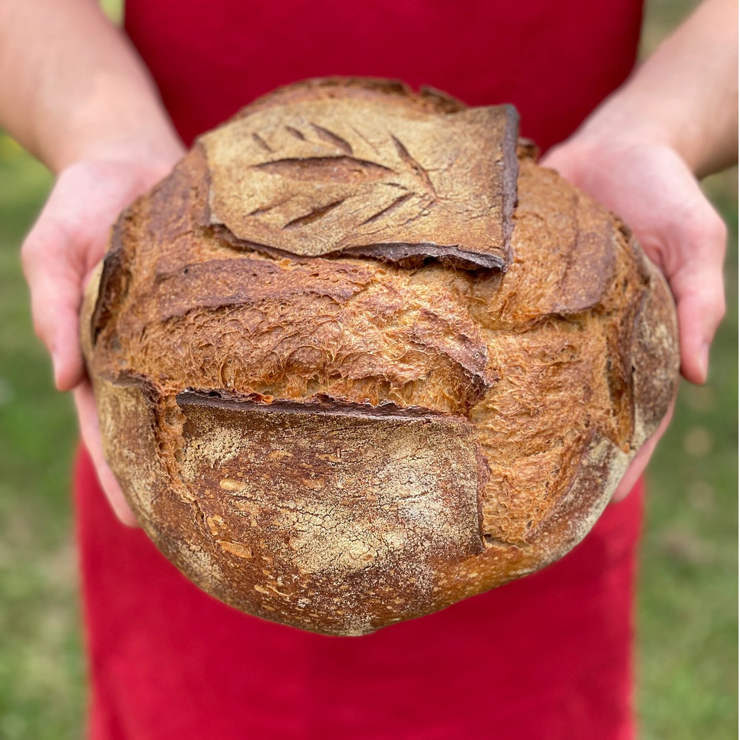 Pain Tourte vendu par JM Monterroir