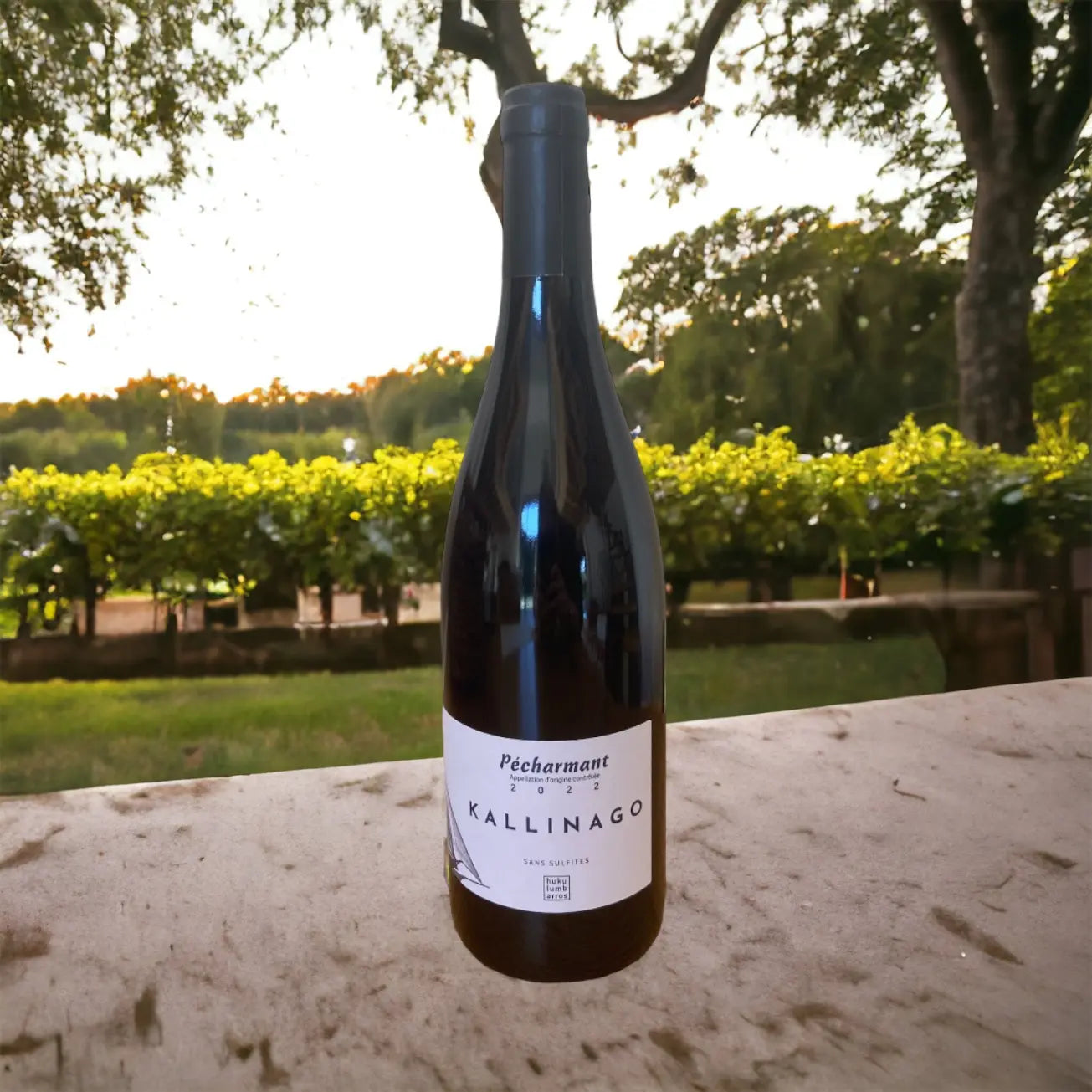 Bouteille du vin rouge Kallinago en Pecharmant vendu par JM Monterroir