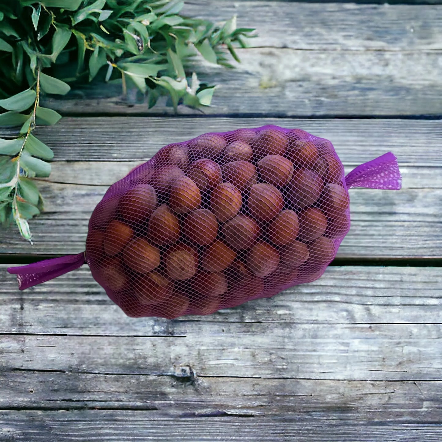 filet de noisettes vendu par Jm Monterroir