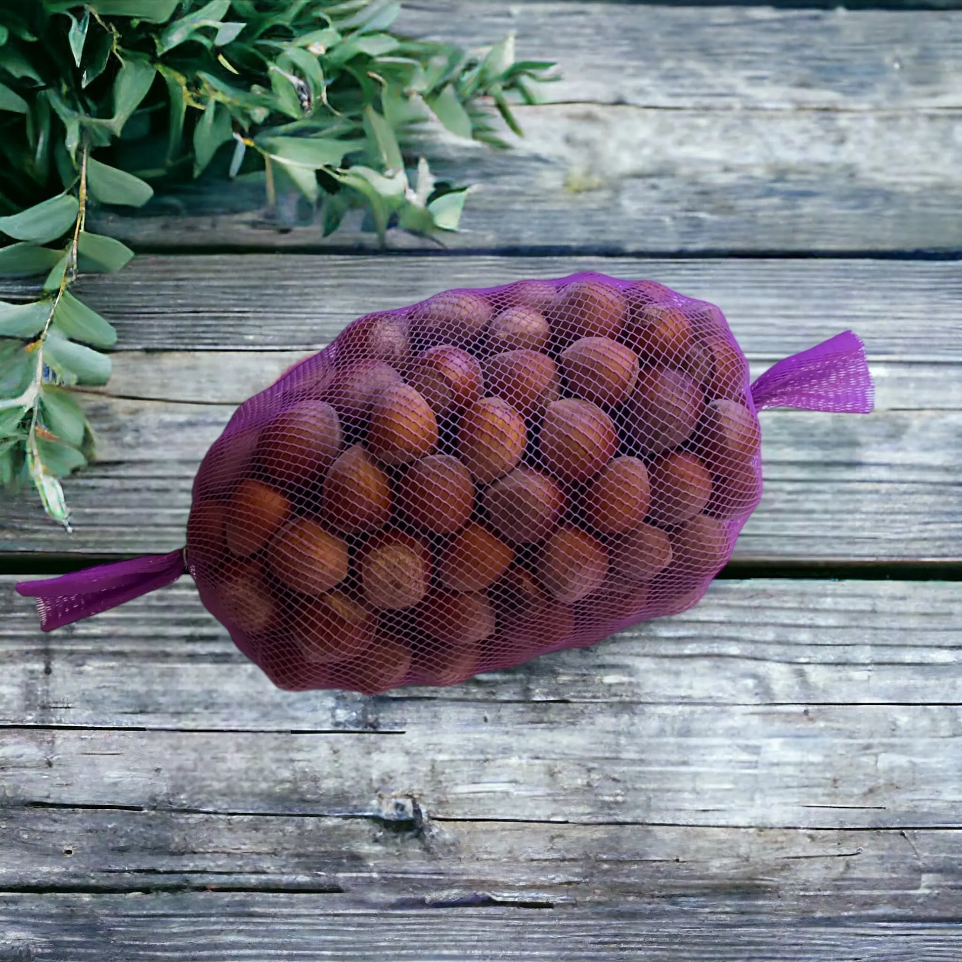 filet de noisettes vendu par Jm Monterroir