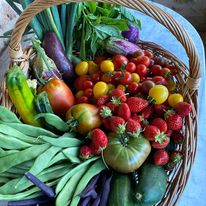 fruits et legumes