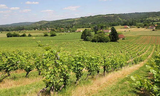 Domaine de La Vitrolle