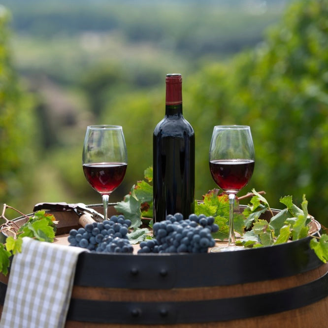 Assortiment de vins rouges de Dordogne – jm monterroir