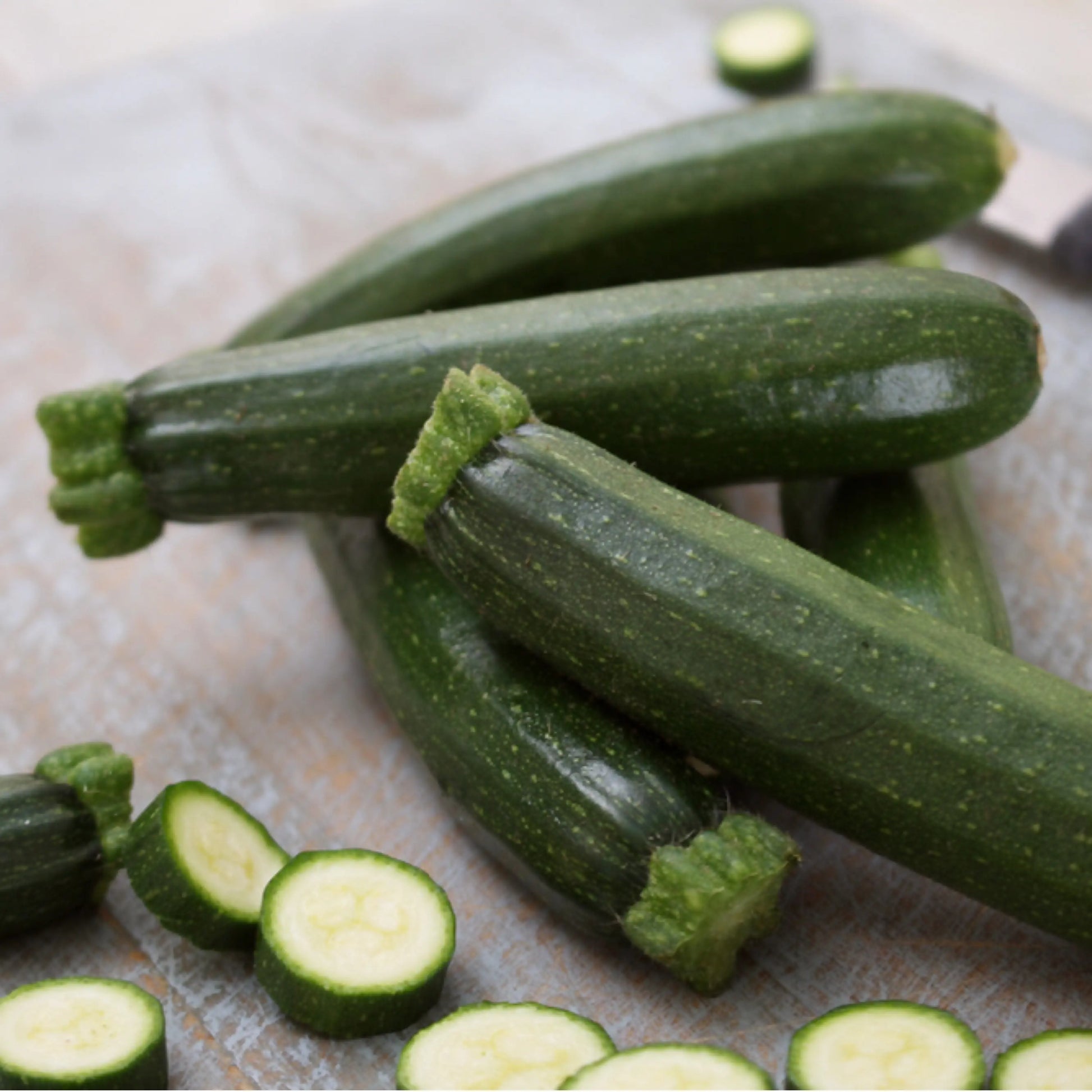 Courgette verte des maraîchers vendu par Jm Monterroir