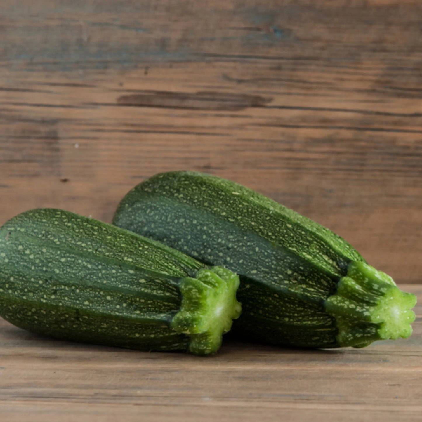 Courgette verte des maraîchers vendu par Jm Monterroir