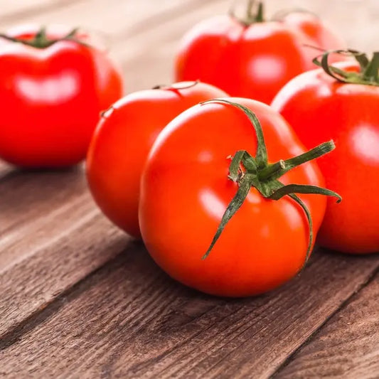 Tomates anciennes précoces de Quimper vendues par Jm Monterroir