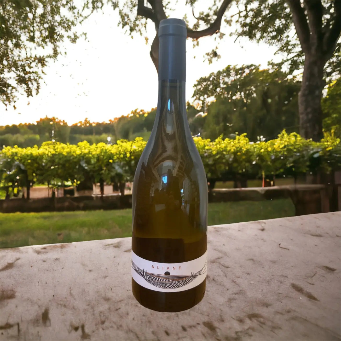Bouteille du vin blanc sec Eliane Trema vendu par JM Monterroir